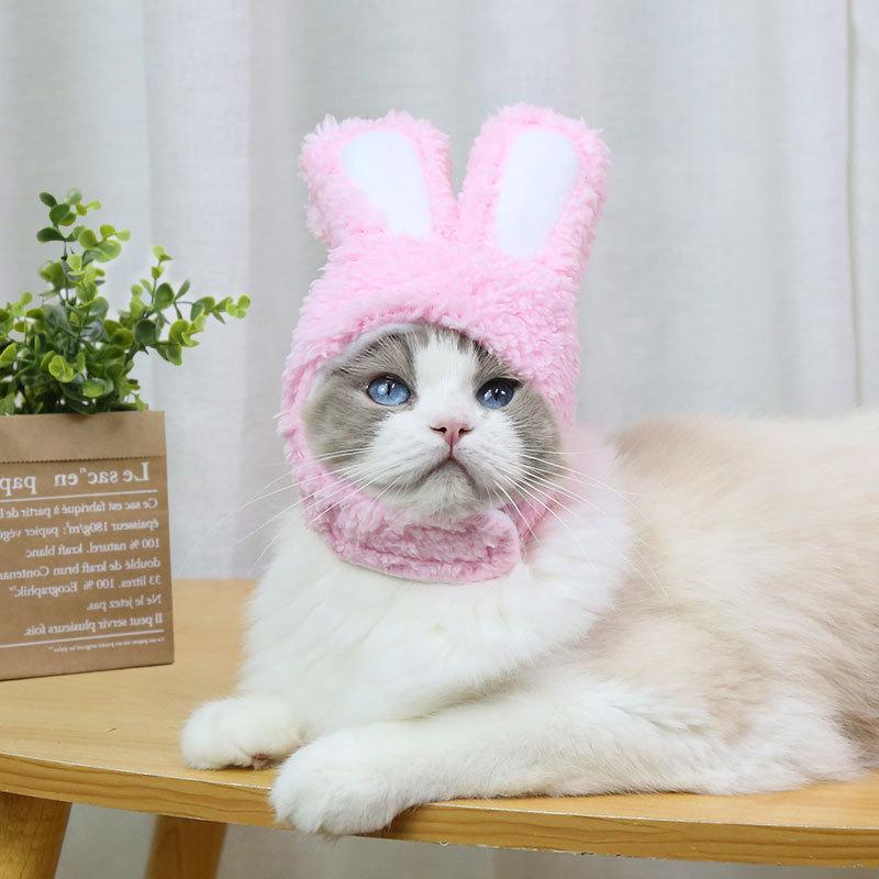 RabbitHat™ -  Accessoire de déguisement pour chat